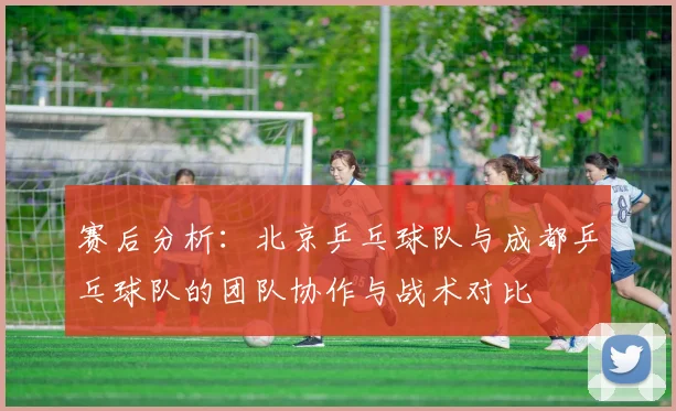 赛后分析：北京乒乓球队与成都乒乓球队的团队协作与战术对比