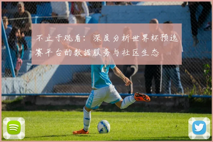 不止于观看：深度分析世界杯预选赛平台的数据服务与社区生态